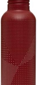 Salewa Aurino Bouteille Isotherme en Inox pour Randonneurs