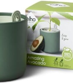 Elho Amazing Avocado Pot 12 - 100% Plastique Recyclé - Ø12cm pour Culture Avocat Vert