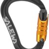 Salewa Ortles HMS C.3 Mousqueton M - Connecteur HMS à Vis pour Grimpeurs - Assurage Alpinisme
