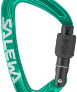 Salewa Ortles Mousqueton à Vis - Verrouillage Sécurisé pour Alpinistes en Escalade