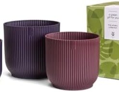 Elho Pots de Fleurs Intérieur Winery Collection - 100% Plastique Recyclé - Set de 3 Ø14, 16, 18 cm Violet Mauve Foncé