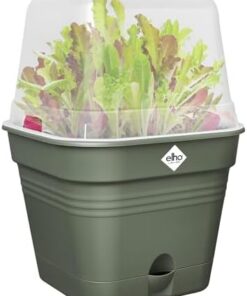 Elho Green Basics Allin1 25 Pot Carré Vert - Pour Culture & Récolte Plantes - Ø2|5 x H20.7cm
