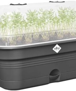 Elho Green Basics Allin1 32 Plateau de Culture - 100% Plastique Recyclé - Ø32xH1|2cm Noir