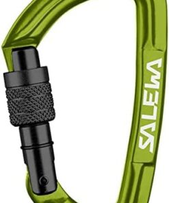 Salewa Hot G3 Mousqueton à Vis - Pour Grimpeurs - Verrouillage Sécurisé Escalade