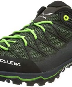 Salewa Mountain Trainer Lite Gore-Tex® Chaussures Homme Randonnée Montagne Légères Impermeables