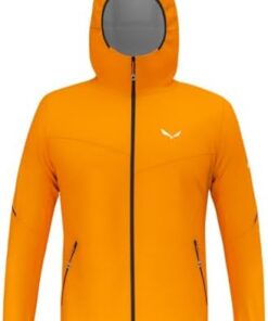 Salewa Pedroc Ptx |5 Veste Légère Homme Randonnée Imperméable GTX