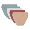 Les Pockets Ecodim | Lot de 5 Culottes Femme Coton & Élasthanne Ceinture Confort Multicolores Invisibles Sous les Vêteme