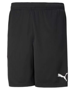 Shorts PUMA Teamrise Training Homme Shorts