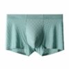 Shorts Hommes Ice Silk Boxer Respirant Taille Élastiquée Couleurs Solides Pantalon Intimme