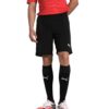 PUMA Liga Shorts Core Brief Slip Homme Pourpre Shorts Sportifs pour Footwear