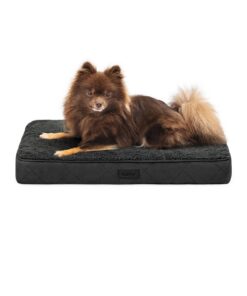 Lionto Lit Orthopédique pour Chiens et Chats, Coussin Robuste Housse Lavable Antidérapant, 60x40x8 cm Noir