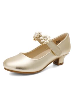 DREAM PAIRS Chaussures Princesse Fille Confortables avec Talon Bloc Anniversaire Mariage Cosplay Fête Déguisement