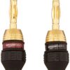 Amazon Basics Plug à la banane + noires + usage domestic / cuisine + praticité du design + lot de 12 paires, 24 unités +