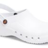 DIAN Eva Chaussures de Santé Professionnelles pour Femmes pour le Travail Pieds Comfortables et Supportés 40-45