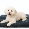 DONWEI Coussin pour Chien Déhoussable et Lavable - Moelleux en Peluche - Antidérapant - Taille 50x40x5 cm