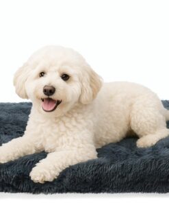 DONWEI Coussin pour Chien Déhoussable et Lavable - Moelleux en Peluche - Antidérapant - Taille 50x40x5 cm