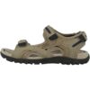 Geox D Arlara B Ballet Flat Femme Élégant & Pratique pour Tous Les Seances Formelles Ou Informelles disponible en Taille
