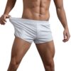 Hommes Boxer Brief Coloris Unique Générique Séchage Rapide Sport Course