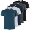 ALPIDEX T-Shirts Hommes Noir Unis à Col Rond Lot de 5 Taille S M L XL XXL 3XL 4XL 5XL - Mode - Adultes - Carnaval - Conf