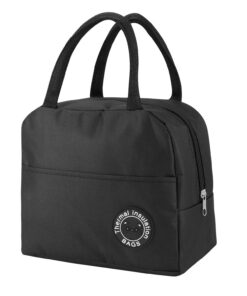 Sac Isotherme Repas pour Homme et Femme École et Bureau, 5.5 L Lunch Bog Étanche avec Feuille d'Aluminium Isolée et Peti