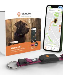 Weenect Chien XT - Collier GPS Hyper Résistant et En Acier pour Chiens Rose | Antenne XL | Etanche | Garantie à Vie | Ab