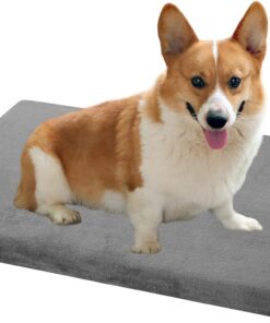 EMPSIGN Coussin Réversible pour Chien, Tapis Imperméable Matelas avec Housse Lavable, Lit Mousse Haute Densité (74x46x7,