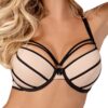 Axami V-7001 Zephyr Sensuel Soutien-Gorge Push-Up - Pour Femmes - Idéal Pour Le Travail Et La Sortie - Push-Up Fort,⎨.En
