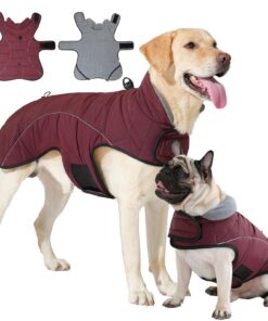 HEYWEAN Manteau imperméable et réfléchissant pour chien | Veste chaude en polaire | Pull d'hiver avec anneau D | Convien