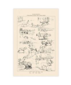 Poster Arthur Morgan animaux légendaires decoration chambre à coucher bureau cadeau (30x45 cm)