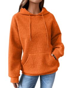 Hoodie Kawaii Couleur Unie Femmes Automne 2025 Sweat Zippé Noël Pull Basique Capuche Echarpe Woman's Plaid