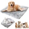 Lit 2 en 1 confortable pour chat avec coussin amovible – 61 x 51 cm – Couverture douce pour chats et petits chiens