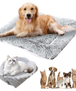 Lit 2 en 1 confortable pour chat avec coussin amovible – 61 x 51 cm – Couverture douce pour chats et petits chiens