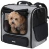 Sacs à dos Pecute pour Chat et Chien élargi, Respirant, Sécurisé pour la Randonnée et les Voyages en Voiture Siège d'Aut
