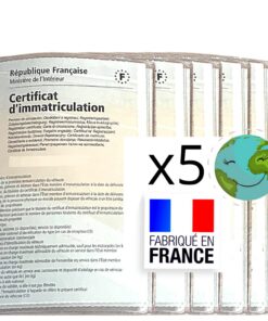 BLAUBODY Pochette Carte Grise - Étui Transparente en Lot de 5 pour Protéger Papier Assurance Auto - Pack Accessoires Voi