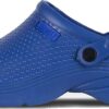 WORKTEAM Sabots sanitaires ultra-légers pour pieds doux Anatomiques orthopédiques Homme/Femme Bleu 37