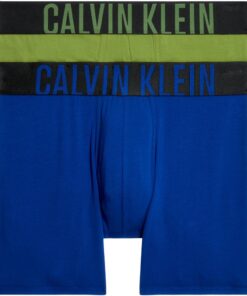 Calvin Klein Boxer Briefs Homme Lot de 2 Élégants et Confortables pour Sport et Daily Wear Hauts Performances en Microfi