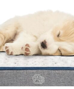 EMPSIGN CHIEN LIT ORTHOPÉDIQUE (Réversible & imperméable), Coussin Comfortable pour Chiens Petits, Lavable 60x45x7,5cm