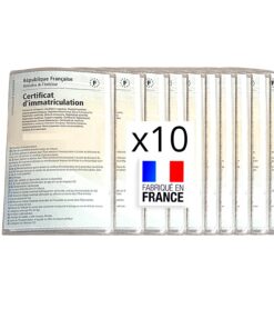 BLAUBODY Pochette Carte Grise Etui Transparente Pack de 10 pour Voiture - Accessoires de ProtectionDocumentAuto Moto Per