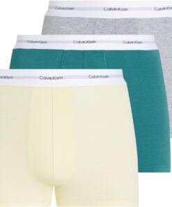 Calvin Klein Boxers Caleçons Lot de 3 Homme avec Ceinture Emblématique Shorts de sport confortables et élégants, taille