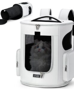 Sac à dos extensible pour chiots et chats, confortable et pratique pour les voyages et la randonnée, capacité de 8 kg, g