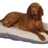 Kerbl Coussin en toile de loneta pour chien (conçu pour races moyennes à grandes, dimensions 72/52/8 cm, lit beige/gris)
