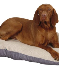 Kerbl Coussin en toile de loneta pour chien (conçu pour races moyennes à grandes, dimensions 72/52/8 cm, lit beige/gris)