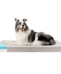 ZENAPOKI Lit pour Chien Orthopédique - Coussin Mémoire de Forme, Housse Lavable, Antidérapant - Grande Taille 110x70x9cm