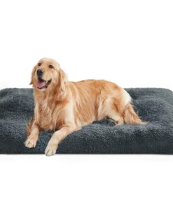 Feandrea Canapé pour Chien, Lit pour Animaux Rembourrage Moelleux Lavable 122 x 74 cm Gris Foncé PGW204G02